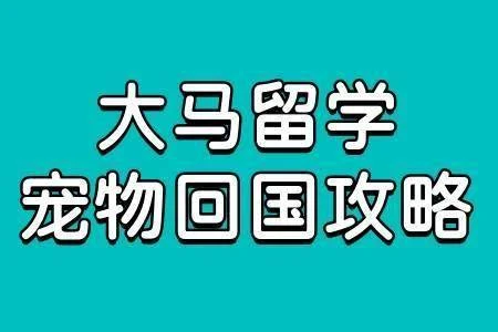 马来西亚宠物带回国攻略
