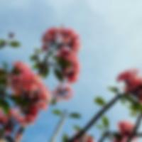 会讲故事的彩虹伞