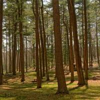 胶片上的社会学晨读