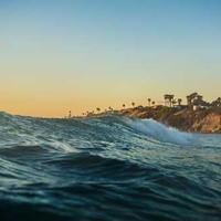 正在旅行的奶茶熊