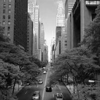 LawyerLens2005