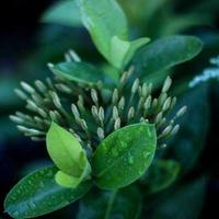 User123_45