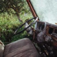 暗戳戳探秘的萌企鹅