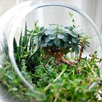 专注午后喵研22