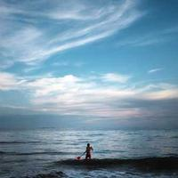 喵程序园丁夜奶茶