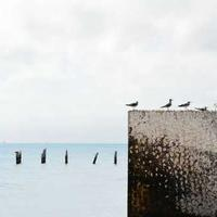 记录健身的时尚设计师