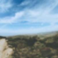 会写代码的面条君