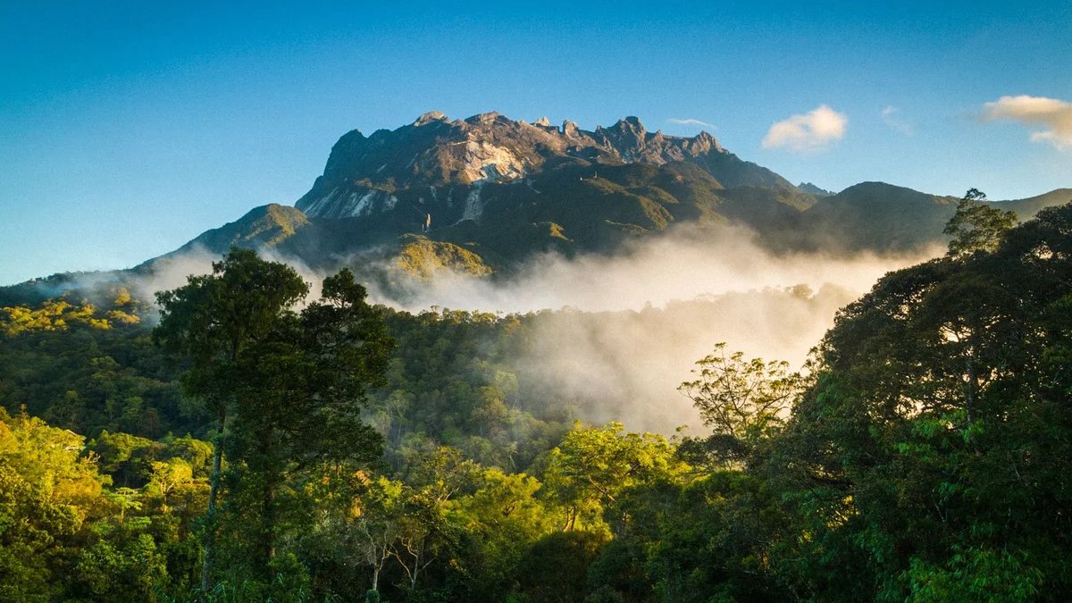 探索沙巴：最好的自然和野生动物探险