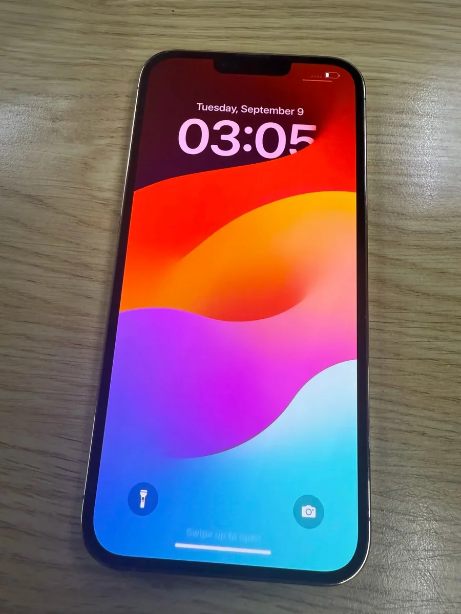 iPhone 13Pro Max 256gb