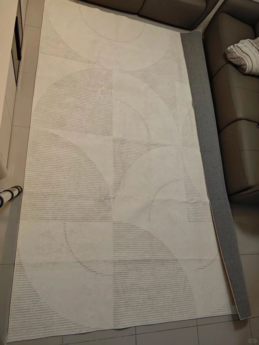 客厅地毯 240×340cm