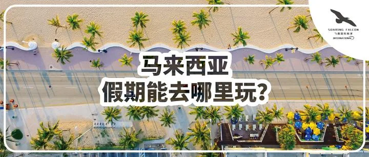 资料封面