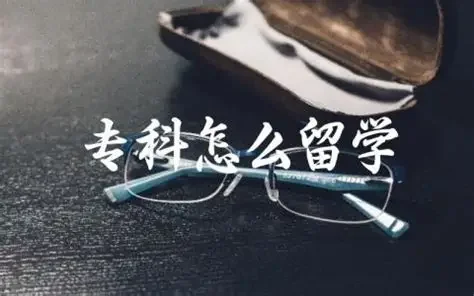 资料封面