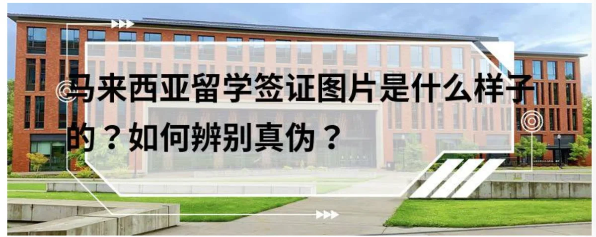资料封面