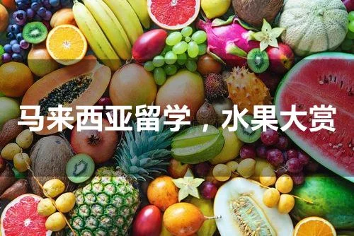 资料封面