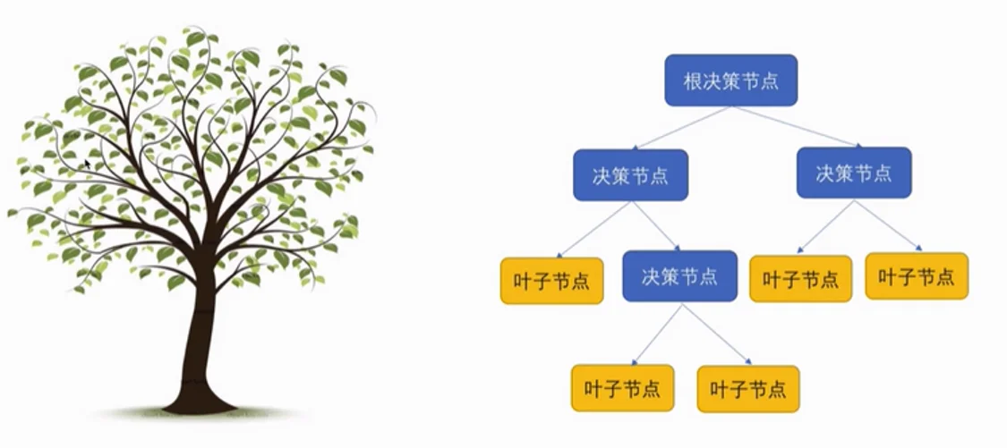 Decision Trees: Concepts, Principles, Development History, Characteristics, and Applications