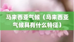 如何更快适应马来西亚的天气