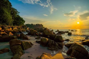 彭亨州终极指南：热带仙境