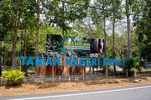 玻璃市的自然美景——王克莲