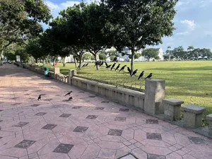 转口贸易之下，马来西亚华资工厂上演大逃亡