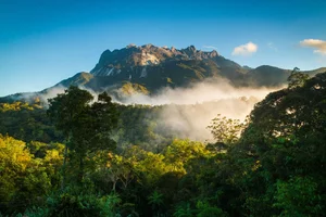 探索沙巴：最好的自然和野生动物探险