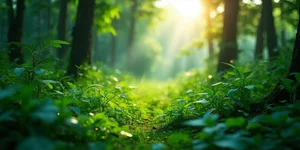 Police detain two more suspects in connection with fatal assault in Sg Bakap