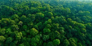 Sungai Dua murder: Three men, including main suspect, remanded two to five more days as jealousy pro