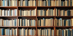 用神经网络预测土壤有机碳：一份给初学者的完整实战指南