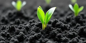 On昂跑中国最大旗舰店于深圳启幕；江南布衣2026上半财年营收净利双增长；锐步中国业务运营方易主；优衣库发布2026春夏新品｜消研所周报