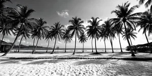 Ship officer gets one-month jail, fine for causing injury to maritime cadet