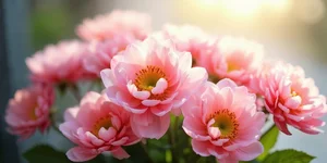 【钛晨报】全国财政工作会议在京召开，部署明年财政重点任务；国务院拟放开放宽除个别超大城市外的落户限制；小米集团林斌计划未来减持不超20亿美元股份