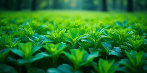 业绩连降、高位减持、低位定增，翔宇医疗脑机接口故事遇信任拷问
