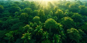 Malaysia stands firm on UN principles, opposes foreign intervention in Venezuela